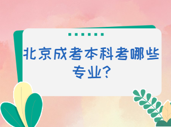 北京成考本科考哪些專業