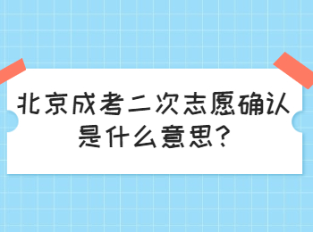 北京成考二次志愿確認是什么意思