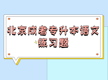 北京成考專(zhuān)升本語(yǔ)文練習(xí)題