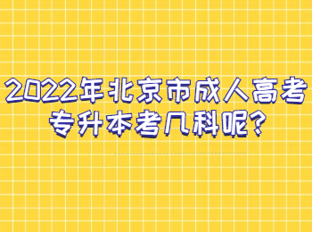 北京市成人高考專升本