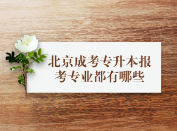 北京成考專升本報考專業