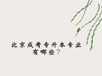 北京成考專升本專業(yè)